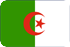 Marketing via SMS  Algeria